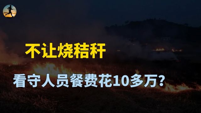 不让烧秸秆,看守人员餐费花10多万,成本与收益该怎么算?