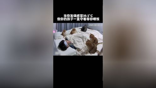 腾讯视频