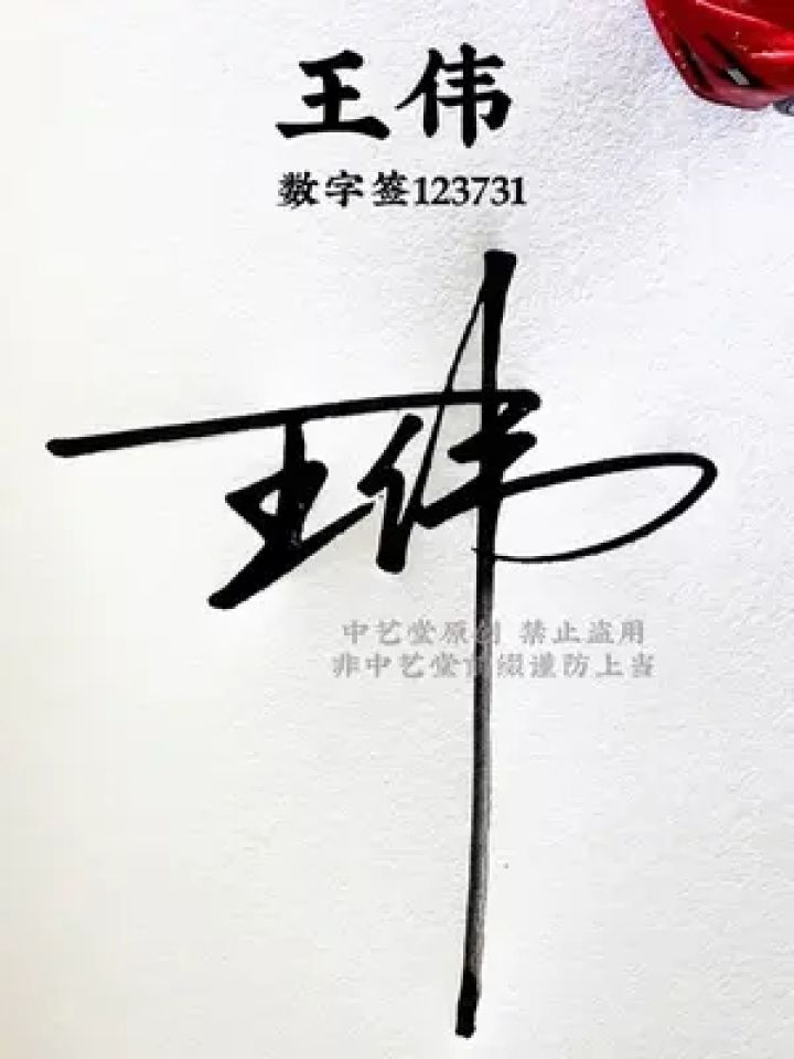 王字商务数字签名新写法 王12