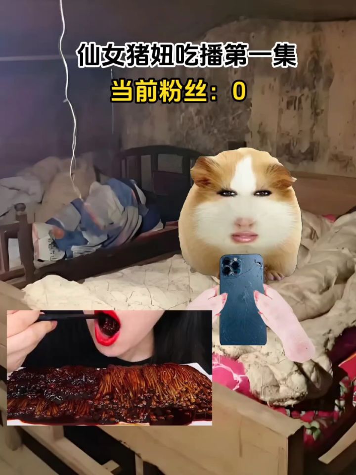 猪妞吃播第一集_高清1080P在线观看平台_腾讯视频