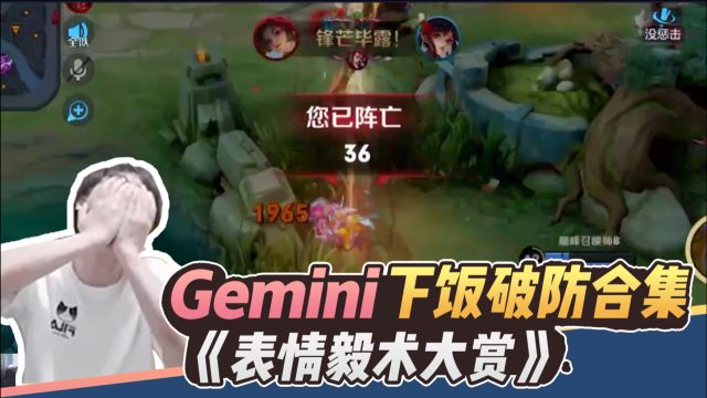 王者荣耀Gemini:走进毅术!下饭破防大合集,欢迎欣赏表情毅术大赏!