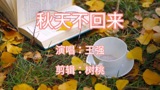 经典老歌:2006年王强发行的《秋天不回来》