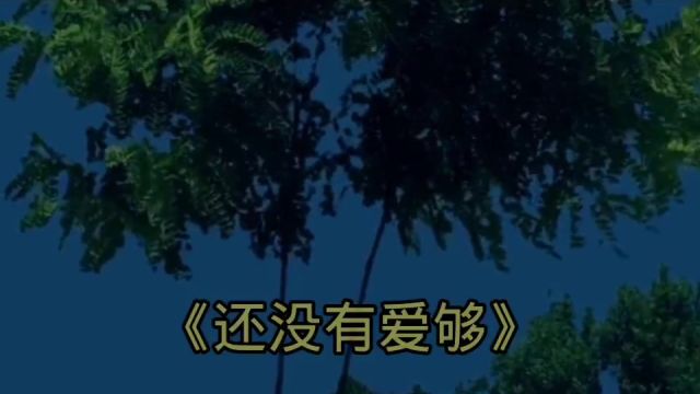 还没有爱够(完整版)