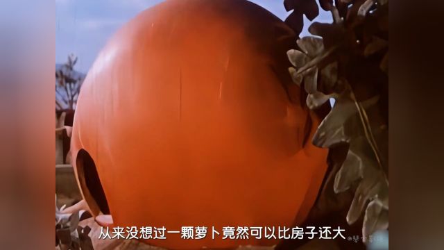 上美厂1960年动画《大萝卜》:“人有多大胆,地有多大产”1