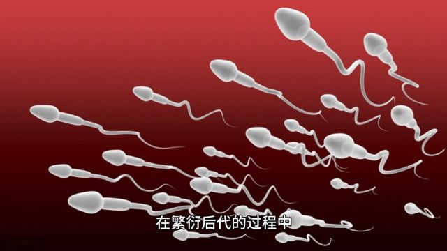 杜宝俊专家讲解弱精子症的最新分级了解你的生育力