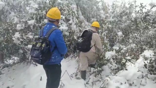 四川:“速冻”模式下的电网运维