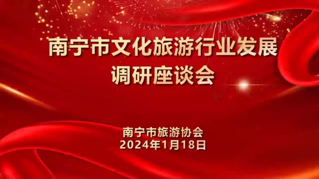 南宁市文化旅游行业发展调研座谈会在南宁举行