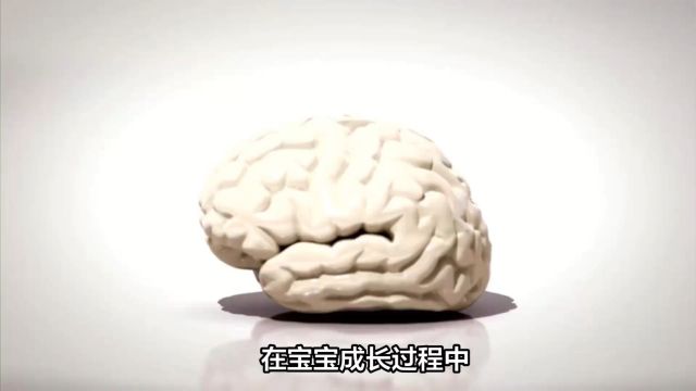 美赞臣铂睿DHA助力宝宝智力视力发育