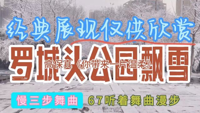 听着舞曲漫步67,罗城头公园飘雪,慢三步舞曲,《你带来一片温柔》高保真版