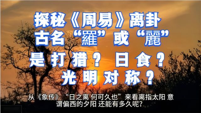 探秘《周易》离卦:古名“罗”或“丽”,是打猎?日食?光明对称?