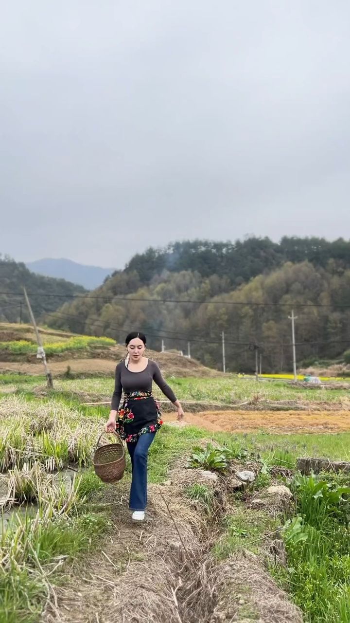 今天挑点马兰头,不嫌弃话来我家吃野菜山里姑娘我的乡村生活