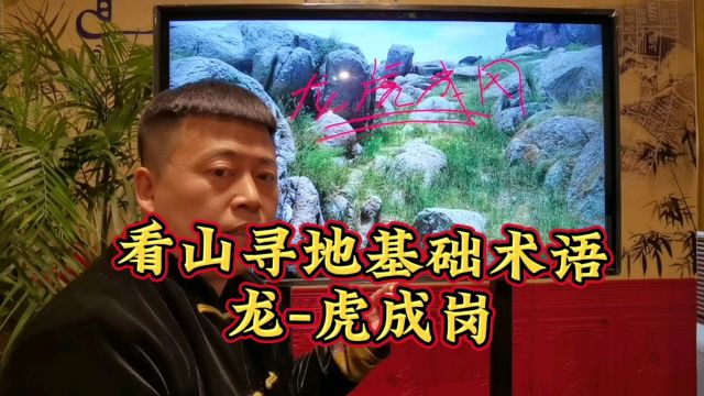 看山寻地基础术语“龙虎成岗”含义解析,吴向东