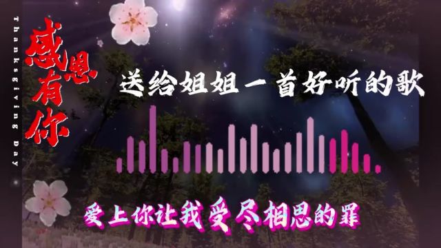 宝贝姐姐这首歌代表了弟的心声,爱你无怨无悔❤