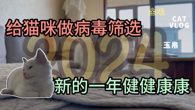 2024,先给猫咪做个病毒筛选,愿新的一年猫咪能够健健康康!