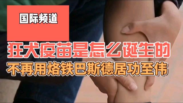 疫苗是怎么诞生的,不再用烙铁自欺欺人,巴斯德居功至伟