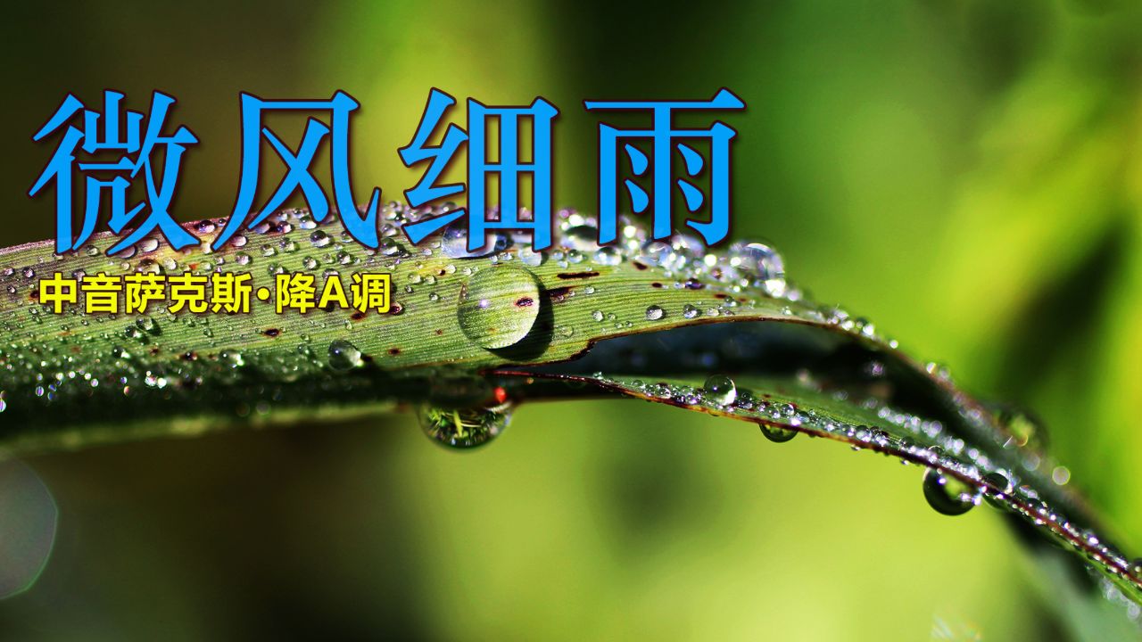 萨克斯演奏《微风细雨》,旋律美妙悠扬,经典老歌好听值得回味!