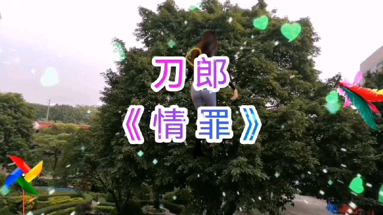 情罪歌曲(情罪歌曲原唱)