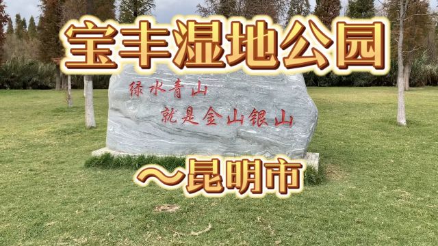 宝丰湿地公园