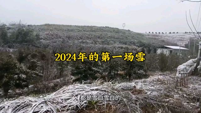 2024年的第一场雪