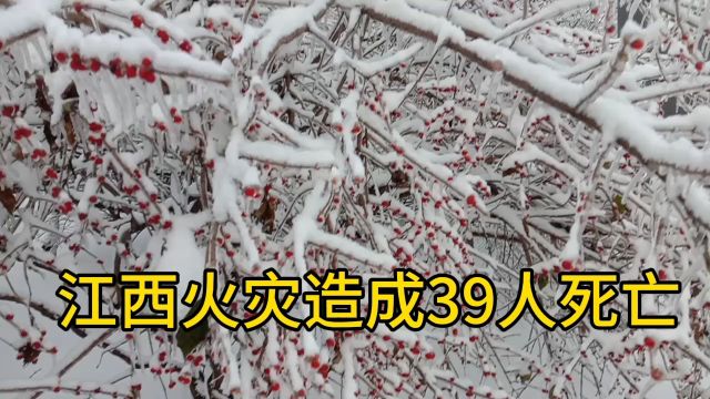 2024年开始,自然灾害频发河南,江西火灾造成多人伤亡