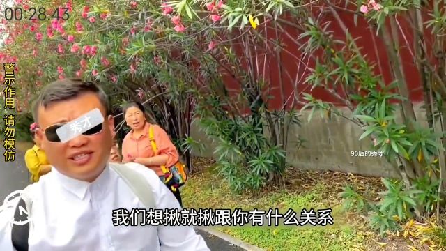 游客组团摘花男子制止未果,对方又唱又跳真是太嚣张了