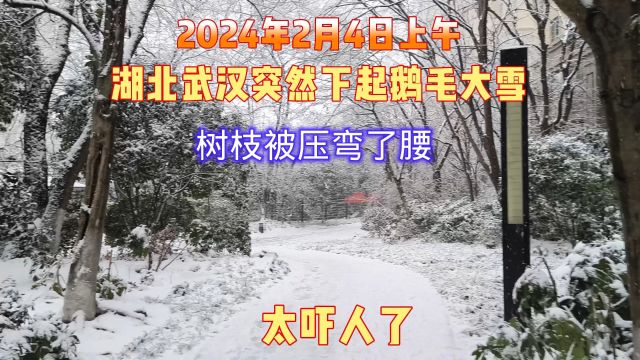 2024年2月4日上午11时50分,武汉突然下起鹅毛大雪,太大太吓人了