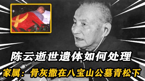 1995年陈云逝世，遗体如何处理？家属：骨灰撒在八宝山公墓青松下
