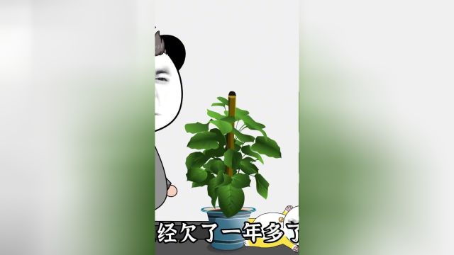 物业费应该怎么计算?