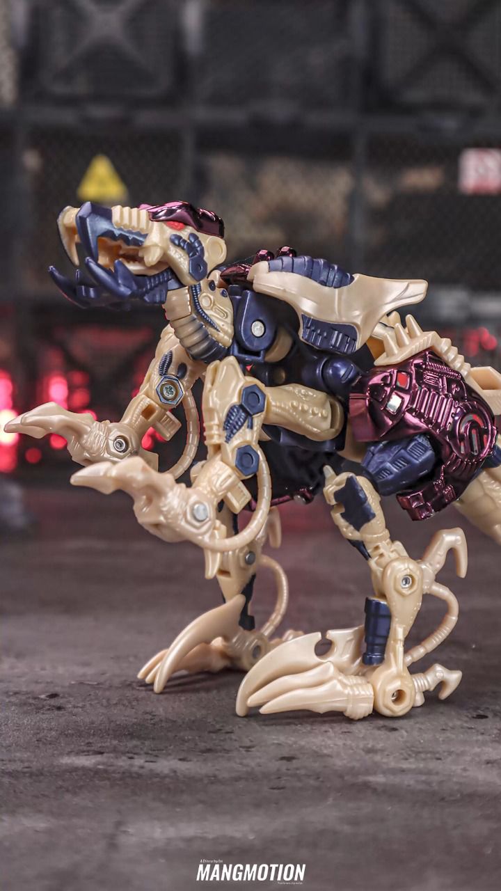 变形金刚超能勇士 金属变体恐龙把玩分享