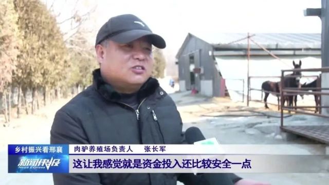 【乡村振兴看邢襄】信都区西黄村镇:肉驴“驮”起乡村致富梦