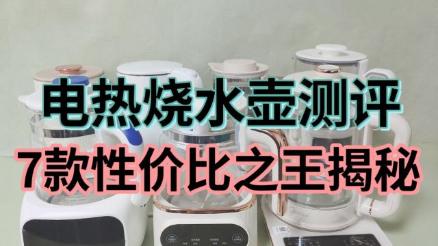 电热烧水壶哪个品牌好?最全性价比榜单测评大揭秘