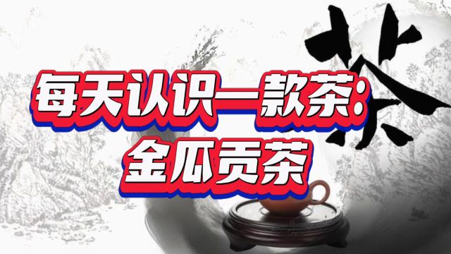 每天认识一款茶:金瓜贡茶