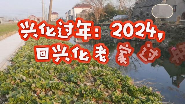 兴化过年:2024,回兴化老家过年.放鞭炮,赏玉树花开,祝大家龙年行大运,吉祥又如意!