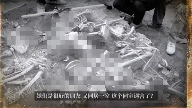 实录:残忍的美女被害案