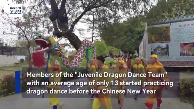 Video|Chaozhou celebrates Chinese New Year with dragon dances