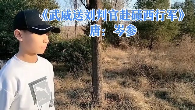 品国学经典(314)《武威送刘判官赴碛西行军》唐:岑参