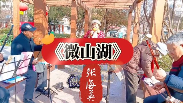 张海英演唱俺铁道游击队为国为民立下大功劳《微山湖》哎卷起春潮朵朵浪花再把英雄找