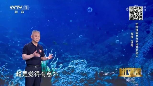 大理双廊:凝聚“巷”心力,点亮“巷”往的生活