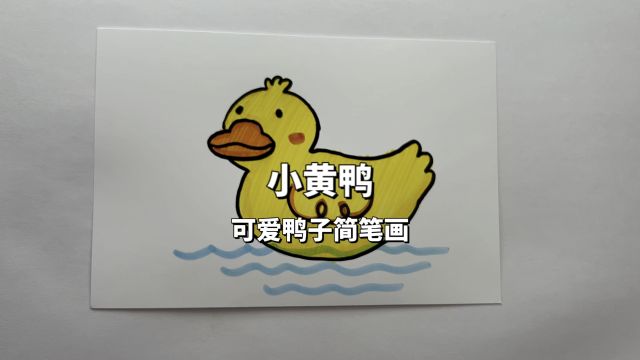 小黄鸭简笔画