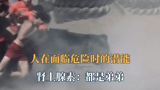 这就是人类被称为恐怖直立猿的原因吧!博尔特快变成世界第二了!