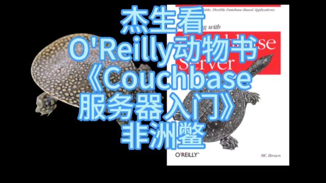 杰生看动物书018《Couchbase服务器入门》#非洲鳖#动物世界