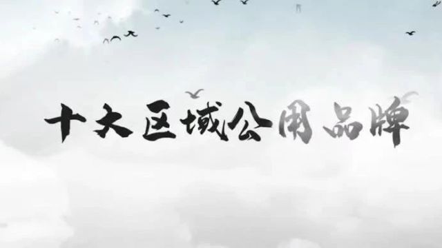 【关注】昭通市2023年“10大品牌”名单揭晓