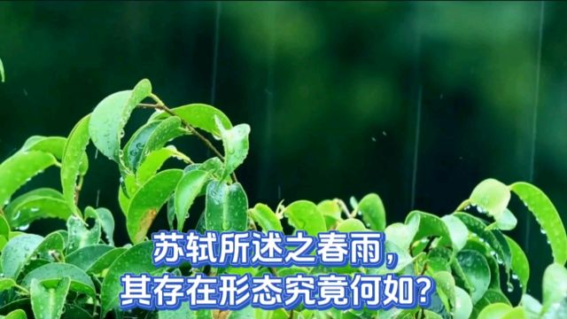 苏轼所述之春雨,其存在形态究竟何如?让我们一起感受春天气息吧