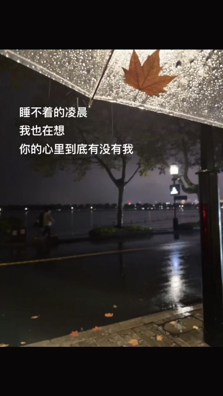 睡不着的凌晨 我也在想 你的心里到底有没有我.