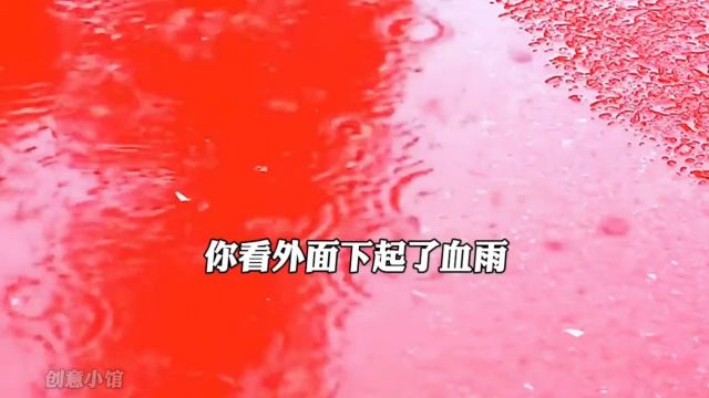 揭秘秘秘,血雨是怎么形成的?万万没想到不可思议科普涨知识真实事件格局研习社