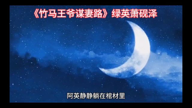 精品新书《竹马王爷谋妻路》绿英萧砚泽小说全文