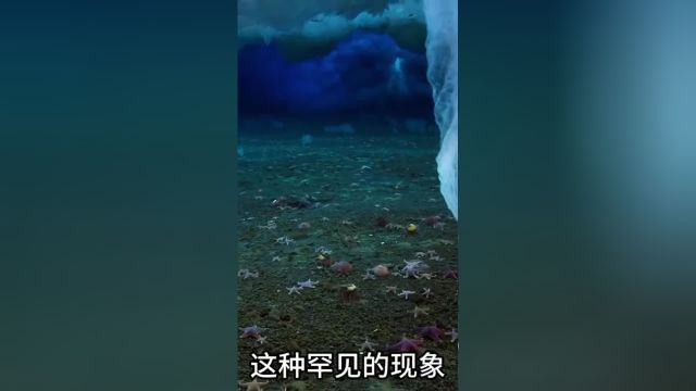 罕见的死亡冰柱奇观异景海洋南北极涨知识地球