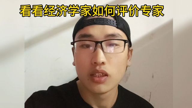 看看经济学家朱少平,为什么会说现在有些专家是砖头专家