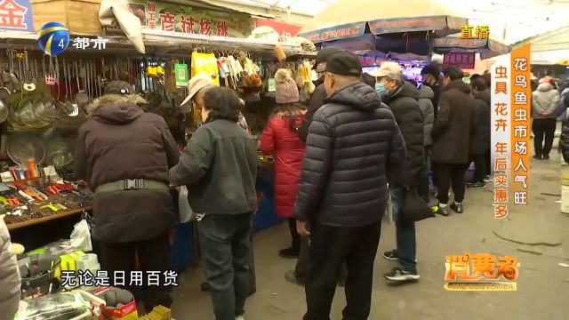 花鸟鱼虫市场逐渐热闹,鸣虫、花卉价格下降,记者带你探听行情