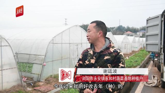 人勤春来早 浏阳市永安镇春耕春种春管有序推进